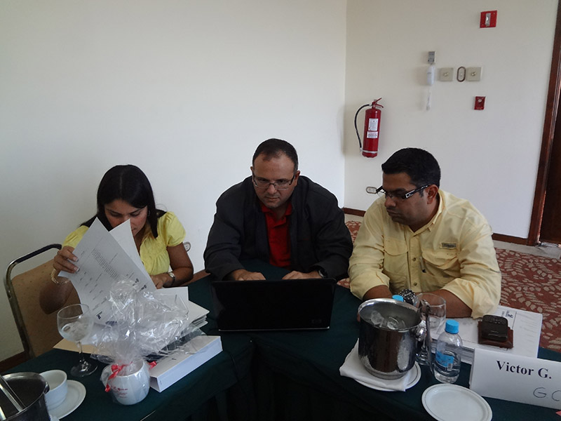 imagen en presentación