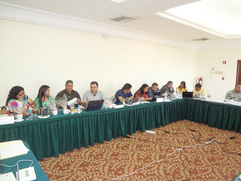 imagen en presentación