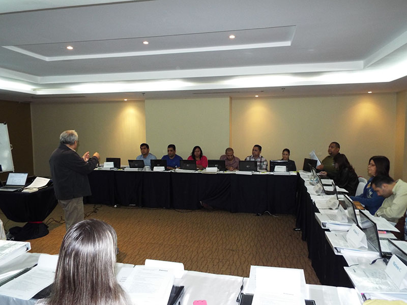 imagen en presentación