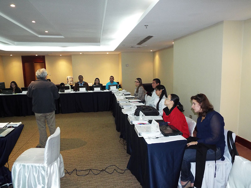 imagen en presentación