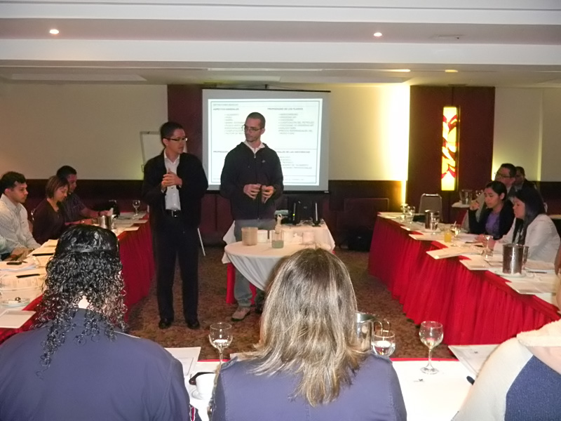 imagen en presentación