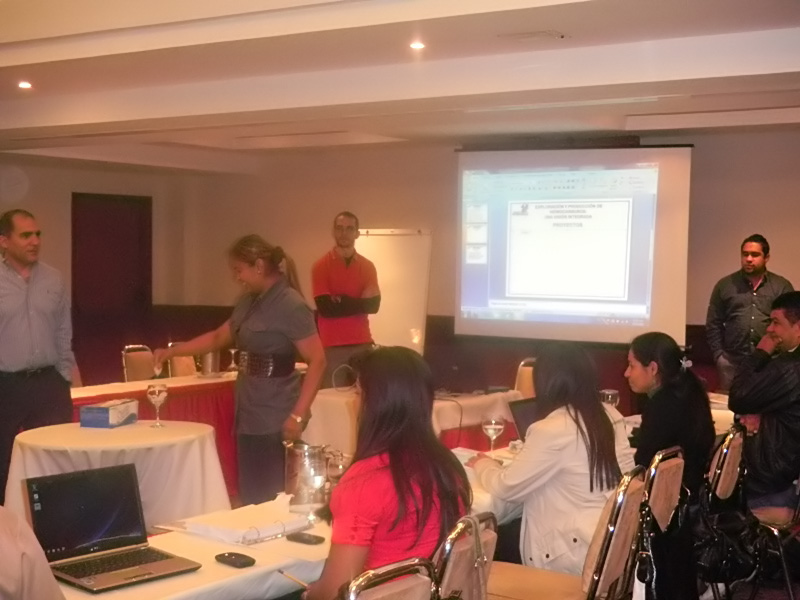 imagen en presentación