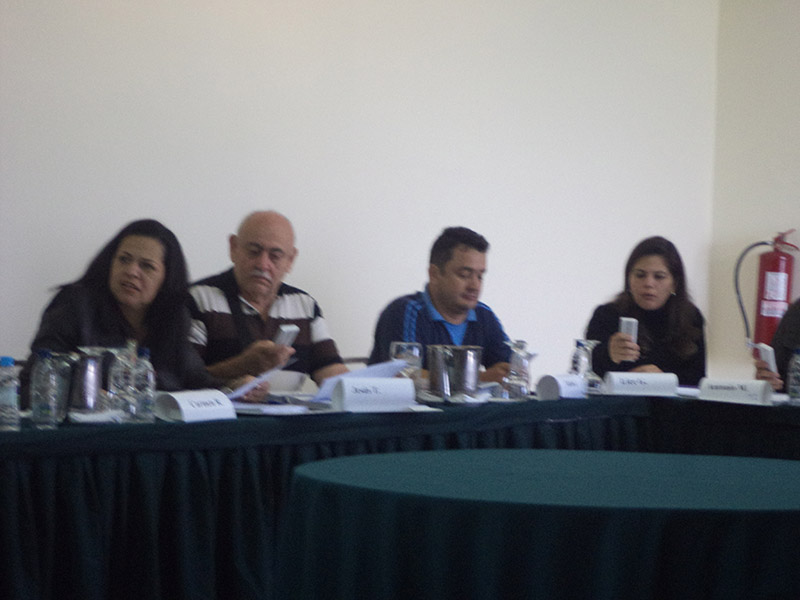 imagen en presentación