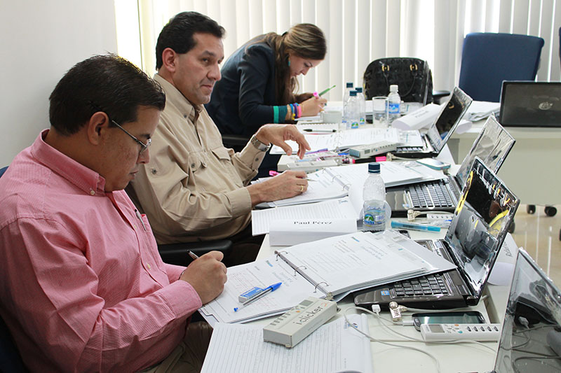 imagen en presentación