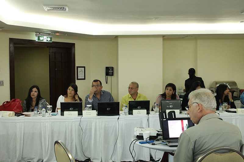 imagen en presentación