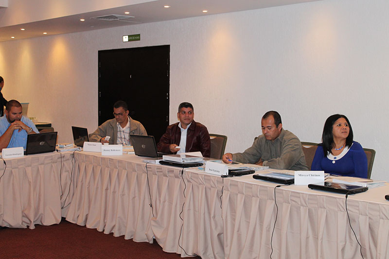 imagen en presentación
