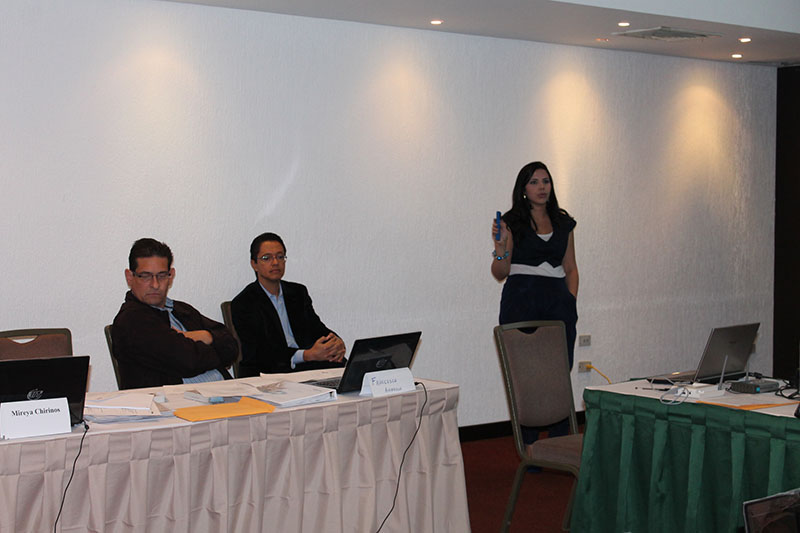 imagen en presentación