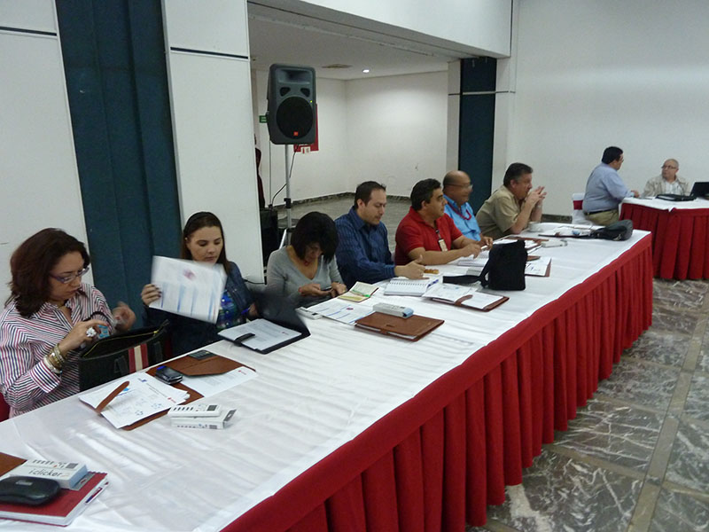 imagen en presentación