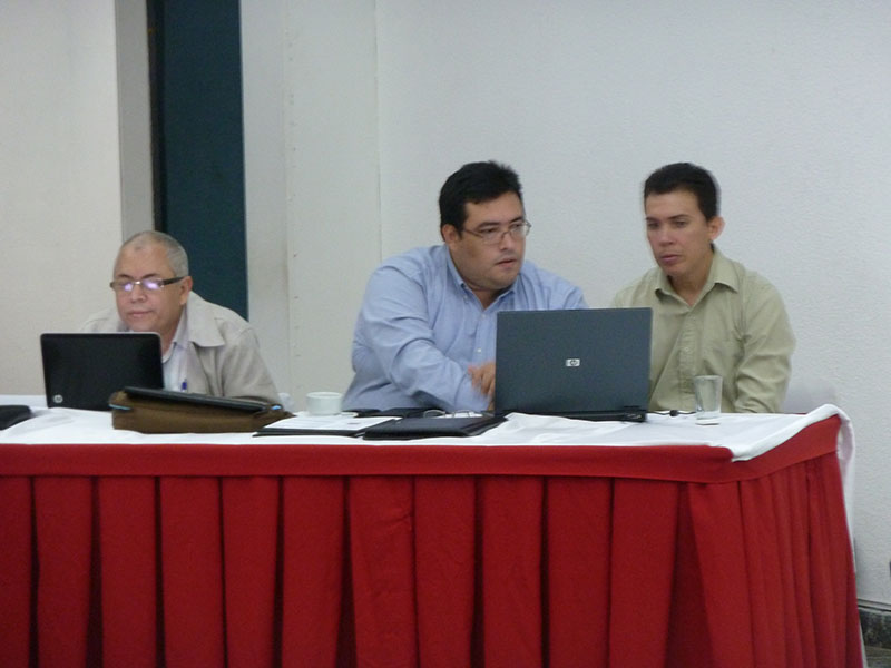 imagen en presentación