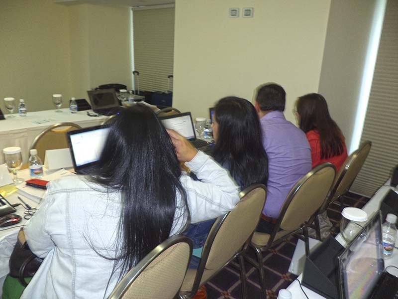 imagen en presentación