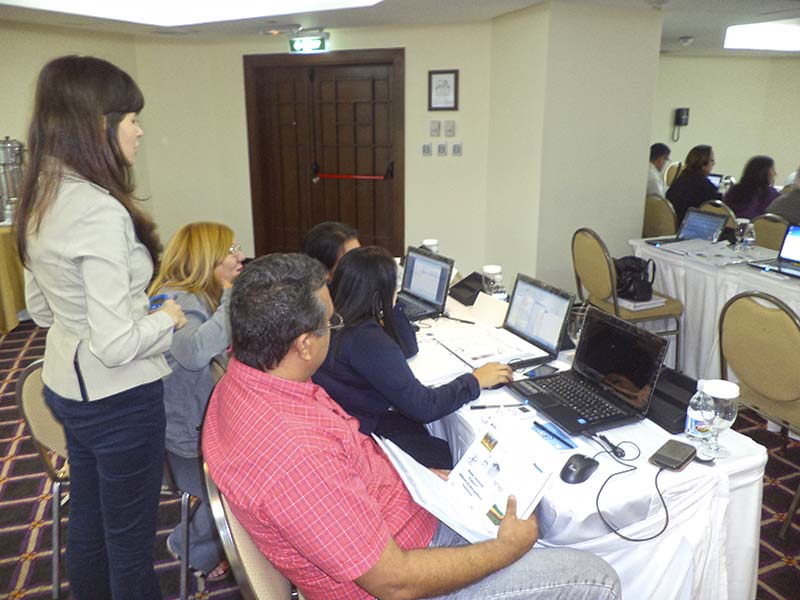 imagen en presentación