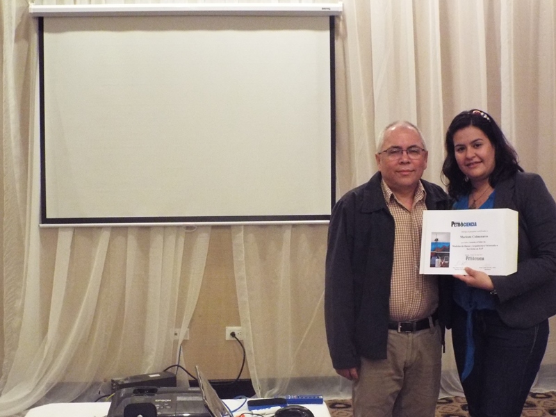 imagen en presentación
