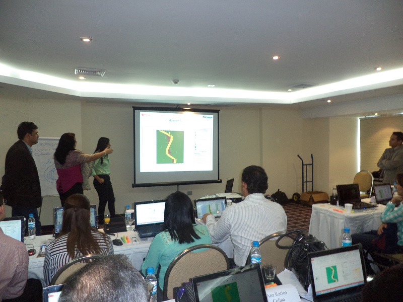 imagen en presentación